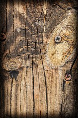 Eski kırık çürük ahşap döşemeler Vignette doku gömülü Rusty vida ile yıpranmış