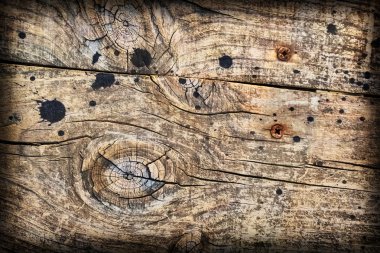 Eski kırık çürük ahşap döşemeler Vignette doku gömülü Rusty vida ile yıpranmış