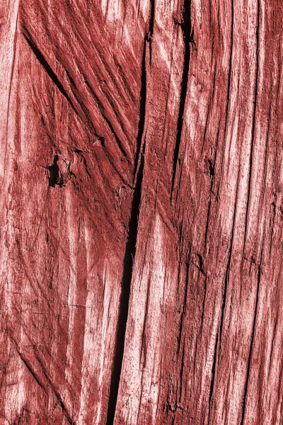 오래 된 풍 화 스테인드 표면 텍스처 빨강 그런 지 썩은 깨진된 나무 — 스톡 사진