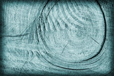 Kırık çürük ahşap camgöbeği Vignette Grunge doku dokuma eski yıpranmış