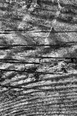 Ahşap ağartılmış ve lekeli gri doku dokuma eski yıpranmış