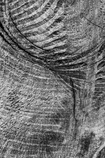 Vecchio legno intemperie sbiancato e macchiato grigio scuro Grunge Texture — Foto Stock