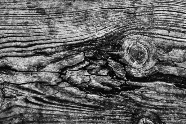 Gamla knutna vittrade trä blekt och färgas grå Grunge konsistens — Stockfoto