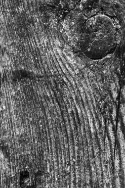 Ahşap ağartılmış ve lekeli gri doku dokuma eski yıpranmış