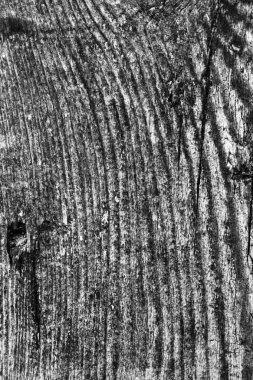 Ahşap ağartılmış ve lekeli gri doku dokuma eski yıpranmış