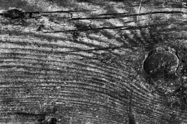 Ahşap ağartılmış ve lekeli gri doku dokuma eski yıpranmış