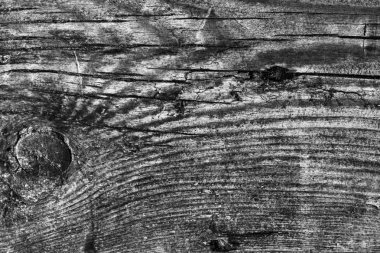 Ahşap ağartılmış ve lekeli gri doku dokuma eski yıpranmış