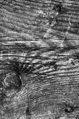 Ahşap ağartılmış ve lekeli gri doku dokuma eski yıpranmış