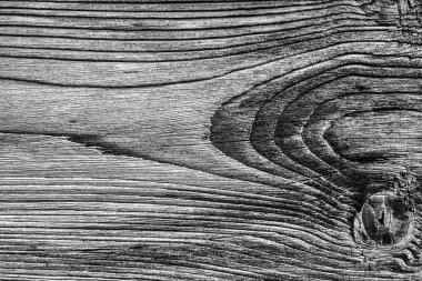 Ahşap ağartılmış ve lekeli gri doku dokuma eski yıpranmış