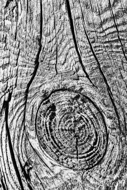 Ahşap ağartılmış ve lekeli gri doku dokuma eski yıpranmış