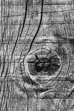 Ahşap ağartılmış ve lekeli gri doku dokuma eski yıpranmış