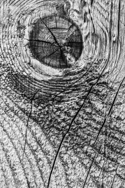 Eski düğümlü yıpranmış ahşap ağartılmış ve koyu gri doku lekeli