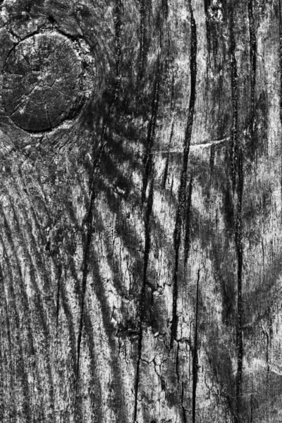 Старое обработанное тканью дерево отбеливается и приобретает серую текстуру — стоковое фото