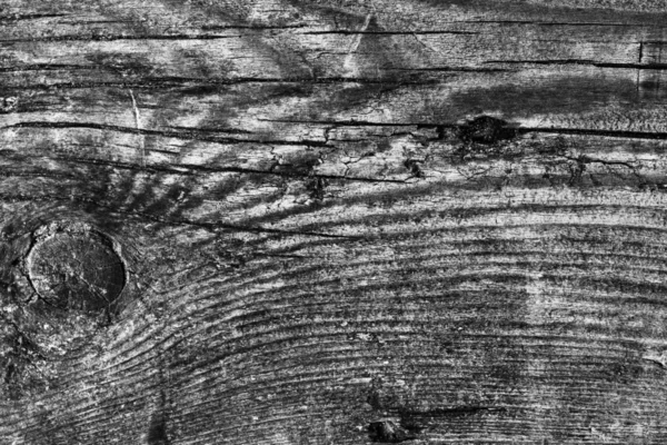 Ahşap ağartılmış ve lekeli gri doku dokuma eski yıpranmış