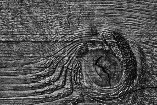 Old Knotted Weathered madeira branqueada e manchada cinza escuro Grunge textura — Fotografia de Stock