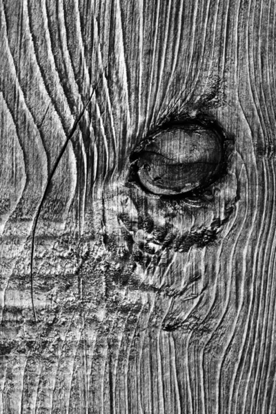 Gamla knuten väderbitna trä blekt och färgas mörkt grå Grunge konsistens — Stockfoto
