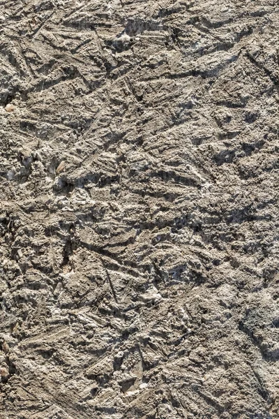 Concrete Rough Cast Coarse Grunge Surface Detail