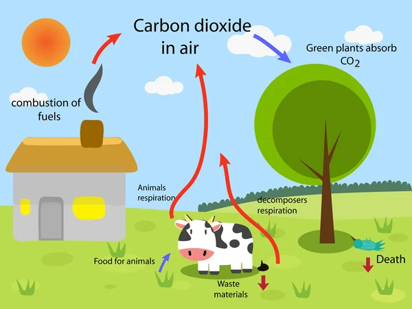 Ciclo del dióxido de carbono — Archivo Imágenes Vectoriales