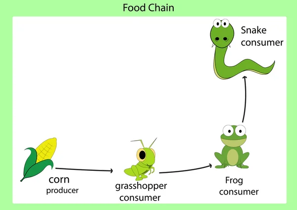 Foog chain vector — Stock Vector