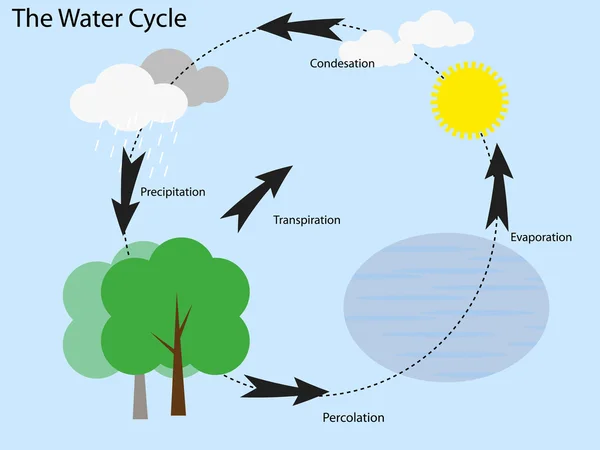 Vettore del ciclo dell'acqua — Vettoriale Stock