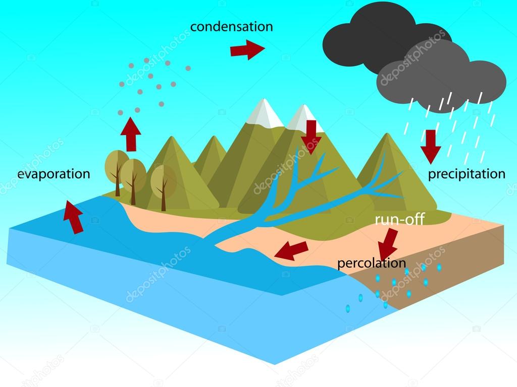 water cycle vector