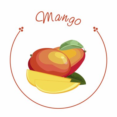 Olgun mango, beyaz arka planda ikiye bölünmüş. Vektör çizimi. Vektör illüstrasyon tasarımı.