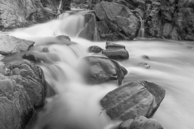 Fluffy Little Falls Black and White