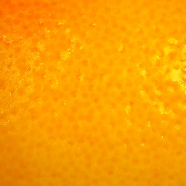 Grapefruit schil oranje kleur — Stockfoto