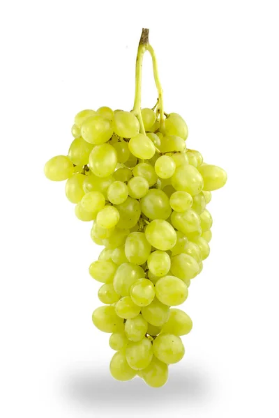 Ripe Bunch Grapes Garden Culture Single White Isolated Object Close — Stock Photo, Image