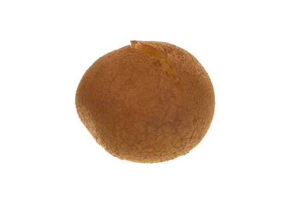 Варёный картофель — стоковое фото