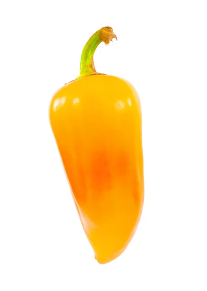 Yellow-orange salad pepper, — Stock Photo, Image