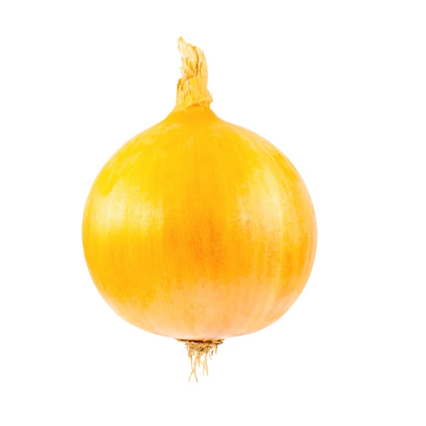 Bulb onions in a golden peel — Stock Photo, Image