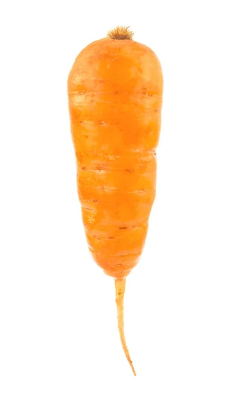 Carrot, culture from the garden — 스톡 사진