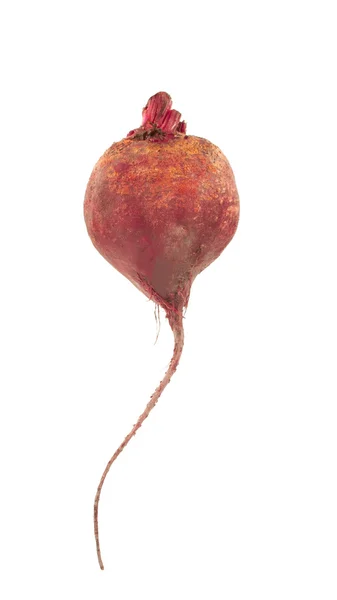 Rote Rüben, Gemüse aus dem Garten, auf weißem Hintergrund — Stockfoto