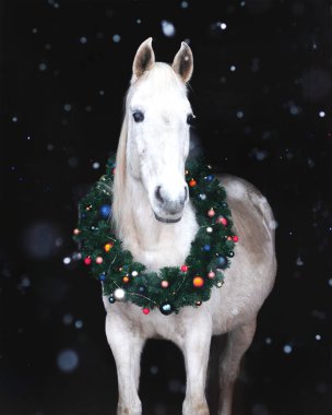 Yılbaşı çelenginde açık gri (beyaz) at, kar yağışında siyah arka grubuna karşı takı süslemeleri ile.