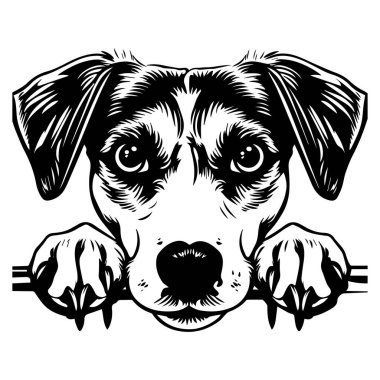 Charming Illustration of a Dog's Face with Large Eyes and Eager Expression, Perfect for Pet-Themed Designs and Marketing Materials