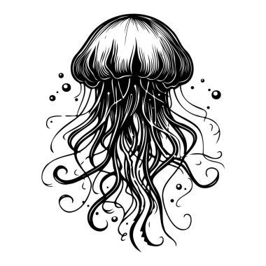 Intricate Line Art of a Jellyfish with Flowing Tentacles Against a White Background for Use in Design and Illustration Projects