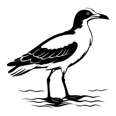 Black and White Illustration of Seabird Standing on Shoreline with Simplistic Design and Clean Lines in Artistic Style