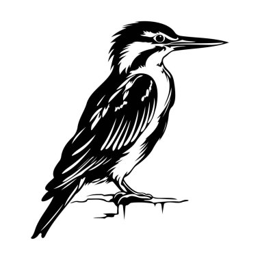 Detailed Black and White Illustration of a Bird Perched on a Branch with Intricate Feather Patterns and Sharp Beak