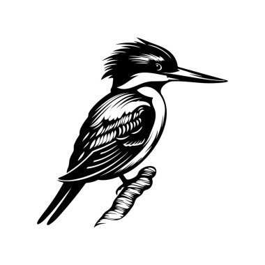 Black and White Illustration of a Kingfisher Bird Perched on a Branch Ideal for Nature and Wildlife Themes