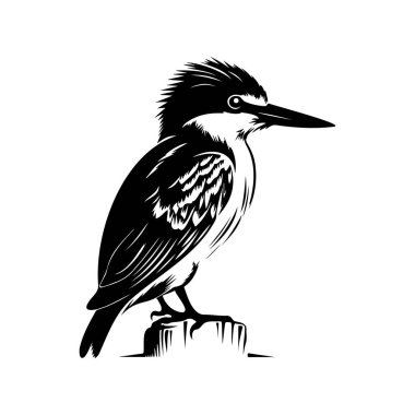 Detailed Illustration of a Single Bird Perched on a Log with Artistic Feather Patterns in Black and White Style for Nature Lovers and Wildlife Enthusiasts
