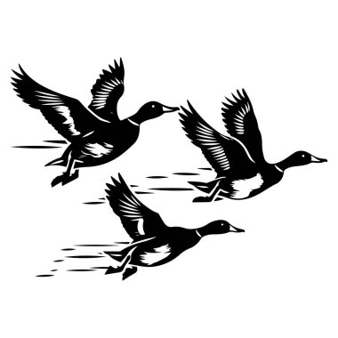 Three birds in flight with wings spread soaring across the sky in a dynamic black and white silhouette design