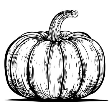 Detailed black and white illustration of a pumpkin showcasing intricate lines and patterns, perfect for autumn and Halloween-themed designs