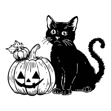 Black Cat and Jack-o'-Lantern Illustration for Halloween Celebrations and Decorations