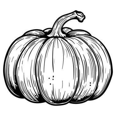 Hand-Drawn Vintage Pumpkin Illustration in Black and White for Autumn and Halloween Decorations and Seasonal Design Projects