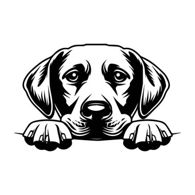 Cute and Playful Dog Illustration with Expressive Eyes Resting on Surface in Simple Black and White Design for Pet Lovers and Art Enthusiasts