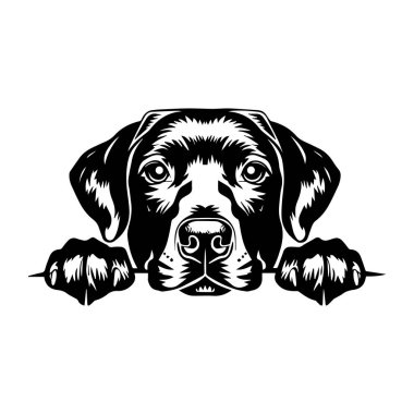 Playful Dog Illustration with Pawprints and Whimsical Expression for Pet Lovers and Animal Enthusiasts