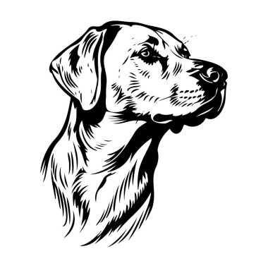 Detailed Black and White Illustration of a Dog with a Focused Expression Capturing the Essence of Loyal Companionship in Artistic Form
