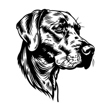 Detailed Black and White Illustration of a Labrador Retriever Dog Profile with Elegant Line Art Design