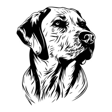 Detailed Illustration of a Dog's Head with Shaggy Fur, Capturing Expressive Features and Realistic Textures in Black and White Style